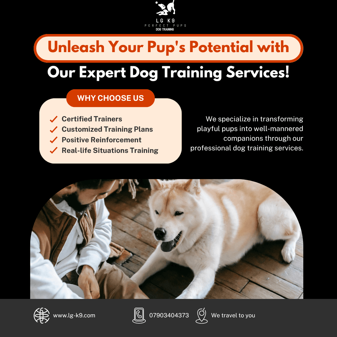 LG K9 PERFECT PUPS work example 1